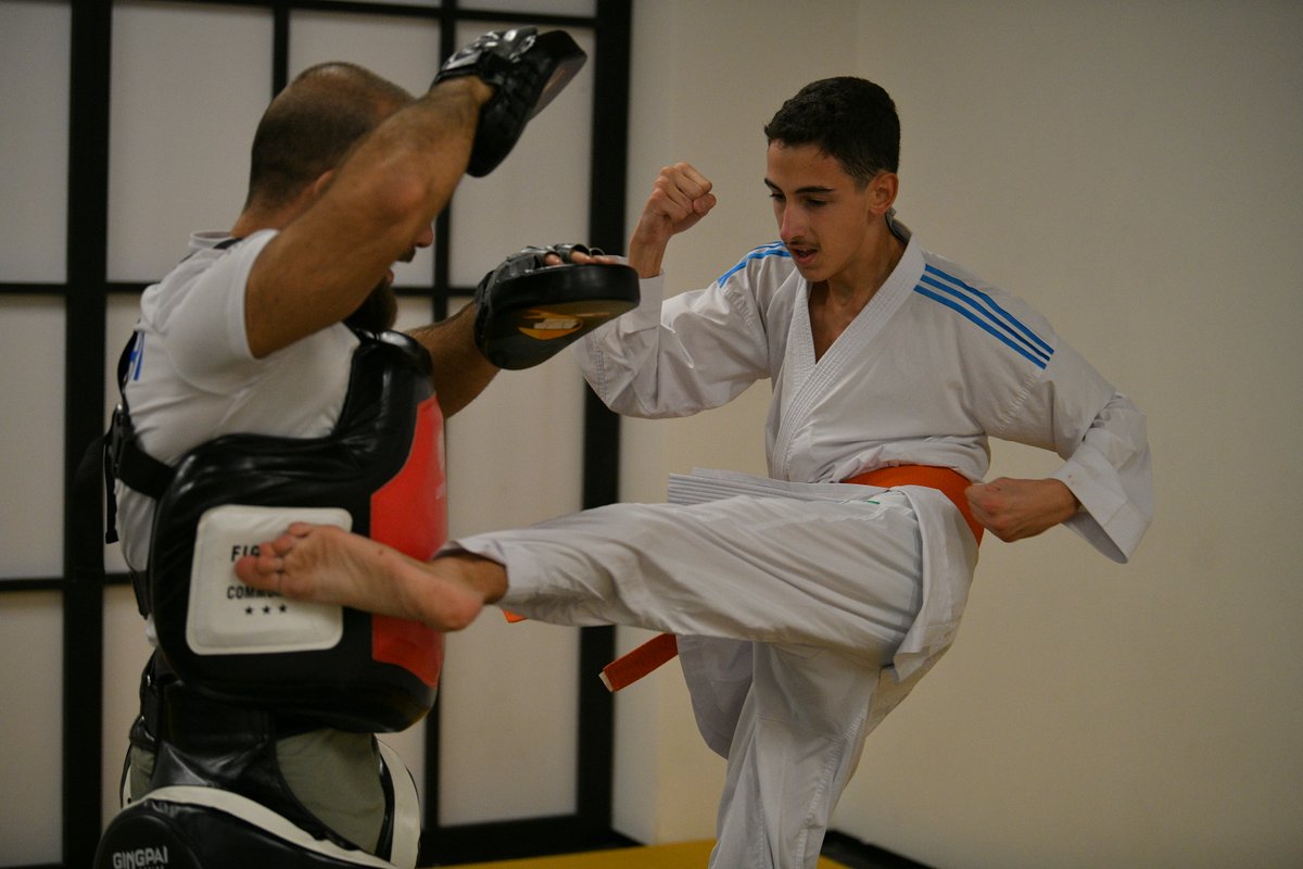 Kyokushin Karate - 1